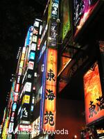 Soubor lidových písní a tanců Valašský Vojvoda