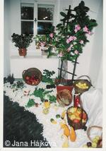 Podzimní výstava - pořádá Klub zahradkářů Trnávka