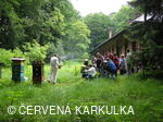 Medobraní u Perníkové chaloupky 2006