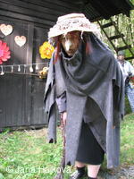 Procházka pohádkovým lesem