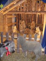 MAS Železnohorský region